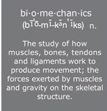 Biomechanics